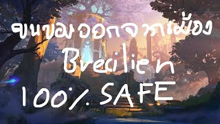 Albion Online ขนของออกจาก Brecilien ปลอดภัย100% ง่ายๆ