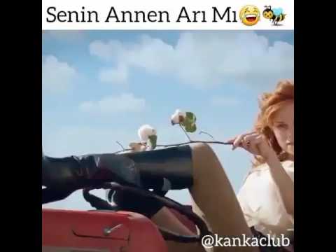 Senin anan arimi