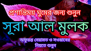 সুরা মুলক Surah Mulk (سورة الملك) রাতের সেরা আমল হৃদয় স্পর্শ করা তেলাওয়াত