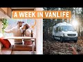 WHAT IS FULL-TIME VANLIFE REALLY LIKE?