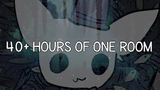 The 45 HOUR Long Hollow Knight Speedrun