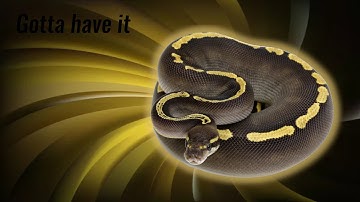 10 GORGEOUS GHI Combos