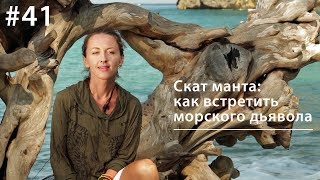 Скат Манта: Как Встретить Морского Дьявола // Всё Как У Зверей #41