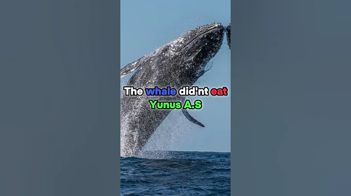 WHAT HAPPENS TO THOSE WHO BELIEVE IN ALLAH(SWT)🙏#allah #islam #short #shortsfeed #shorts