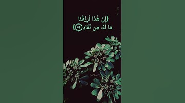 سورة ص الآية ٤٨ الى ٥٨ بصوت الشيخ سعود الشريم #القرآن