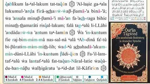 ختمة من مصحف التجويد باللغة الألمانية الصفحة رقم 4