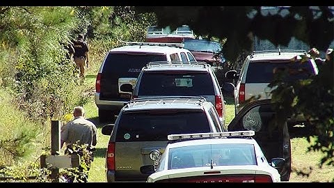 ALEA cyber crime unit cracks down on child porn, sexual predators