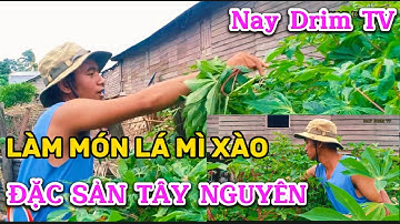 [Vlog] “Lá Mì ( Sắn) Xào”  Dân Dã Thơm Ngon Đặc Sản Jrai Tây Nguyên - Nay Drim TV