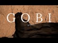 GOBI GHOST film