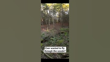 Fpv DRONE Flying Through Trees! #video #nature #naturevibes
