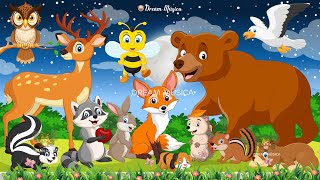 Animal sounds around us: Rabbit, Bear, Bee, Deer, Dog, Bird  Animal videos