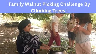 Family Walnut Picking Challenge: Climbing Trees with My Kids!