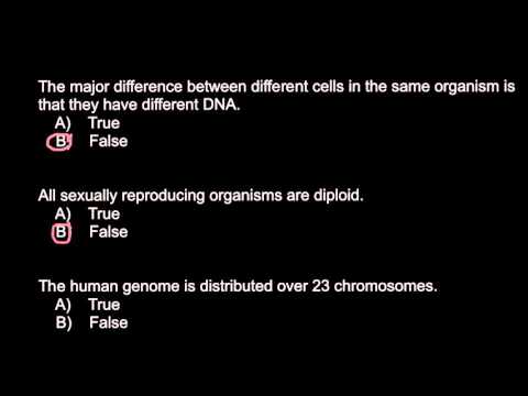 What Is An Organism Sexually