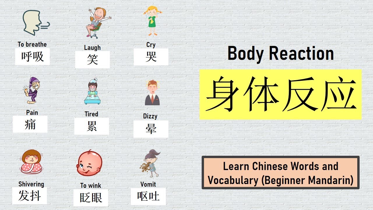 ヴァイス リコリス 中国版 簡体中文 1カートン Body Reaction 身体反应| Breathe Laugh Cry Pain Itchy Dizzy | 学