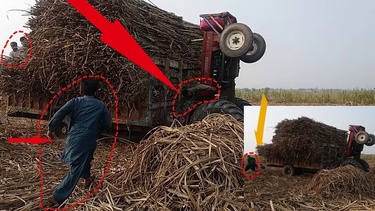 Fiat Tractor Full Power Hitch Tut Gayi Kum Loaded Trolley Sugar Field 2019 Arif ALI tv