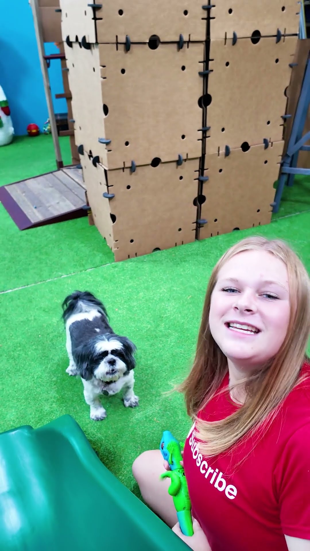 Assistant Tests to see if Wiggles Waggles and Waffles will go up a slide #FamilyFun #FunnyDogs