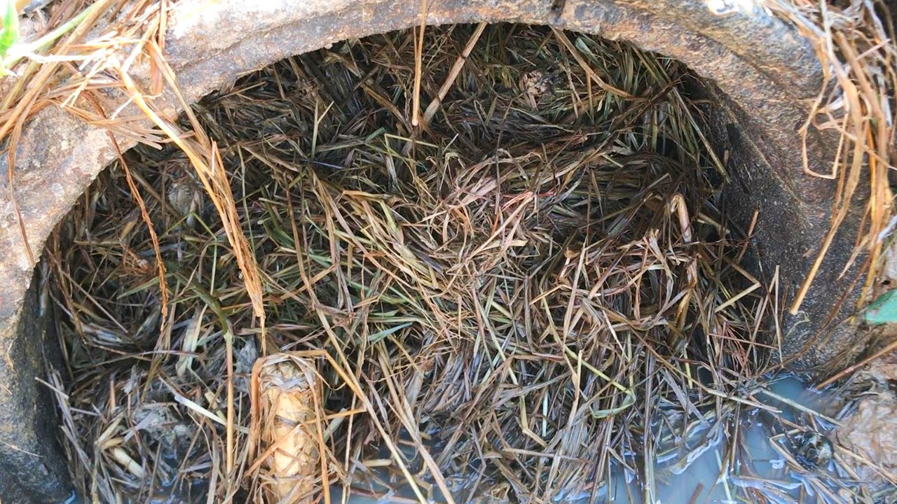 Unclogging Culvert Drain Removing Debris In Drain Pipe - YouTube