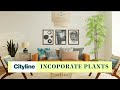 5 tips for using indoor plants in your interior design