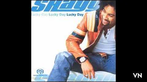 Shaggy - Strength Of A Woman.