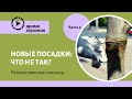 Новые посадки: что не так? Часть 2. Саженцы