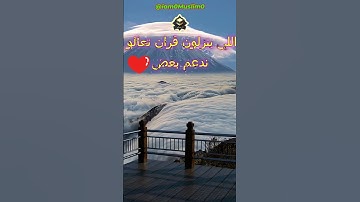 القارئ الصغير الذي حير مشاهير القراء بخشوع صوته الجزء  338 #قران #قران كريم #قراند #quran #quran alk
