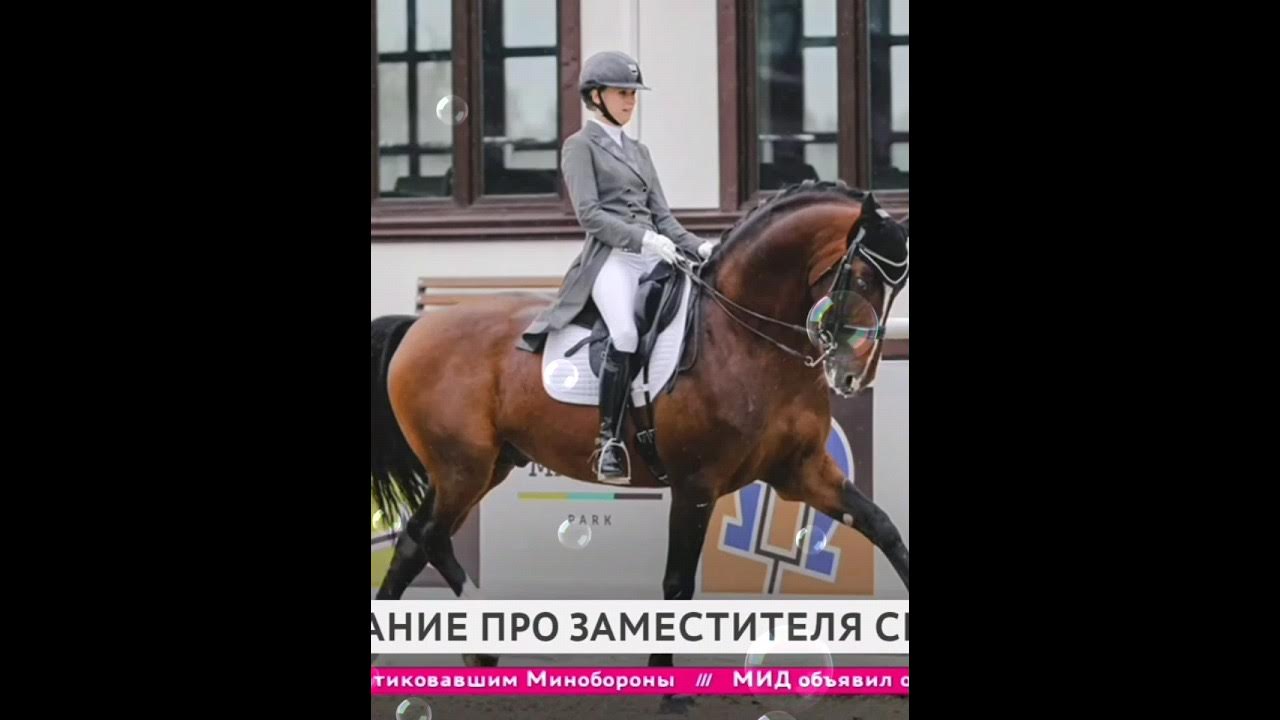 про коня - YouTube