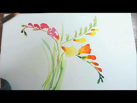 Video: Flori De Acuarelă: 5 Tutoriale Acuarele Despre Pictura Flori
