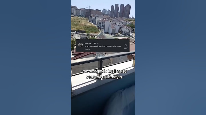 Para koysaydın onlar alırdı