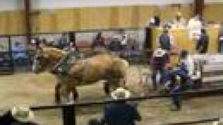 Duke & Dan Pull Over 10,000lbs