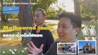 Melbourne Vlog Ep.1 : สวนสาธารณะที่มีนกกระตั้วเต็มไปหมดและเดินเที่ยวใจกลางเมืองแบบขำๆ