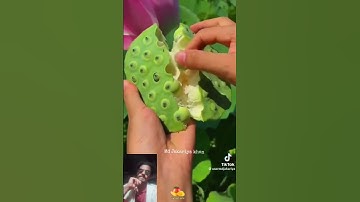 😢😢😭😭আমিন #عبدالرحمن_مسعد_تلاوة_جديدة #আম #fruit #المصحف #islamicpreacher #food #smartphone