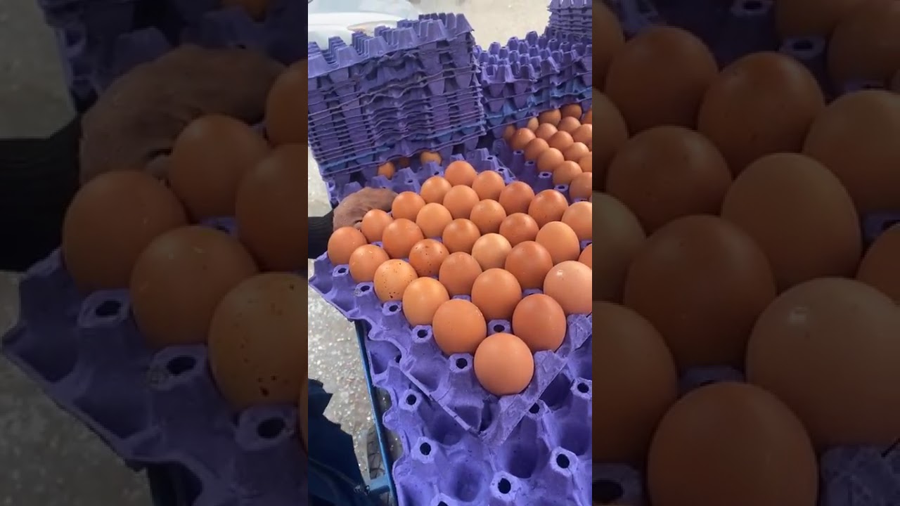 من الدار البيضاء : من قلب سوق شعبي البيض غالي وصل ثمن البيضة 1.50 والإقبال عليه قليل هاد رمضان