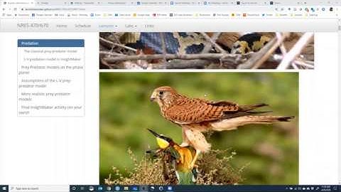 Prey predator models pt 3
