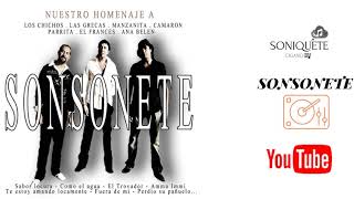 Video thumbnail of "Sonsonete - Sabor locura"
