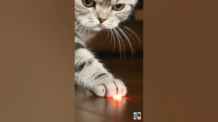 The Wobbly Laser #cat #crushingtime #catcomedy #kitten #catvideos #cute #funny #petlovers #funnycats