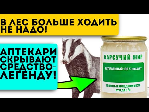 Незаслуженно забыт! Лечит простуду, бронхит, творит чудеса с суставами…Барсучий жир