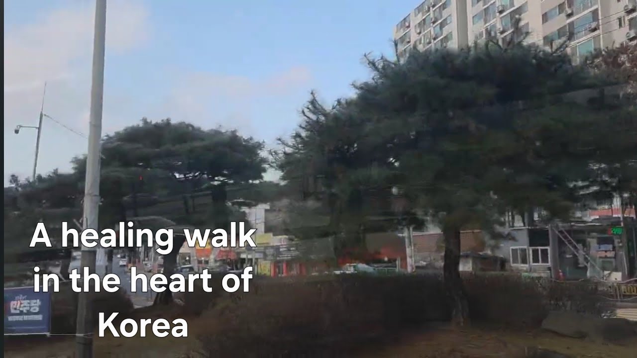 Peaceful City Walk in Korea | 한국 도심 힐링 산책