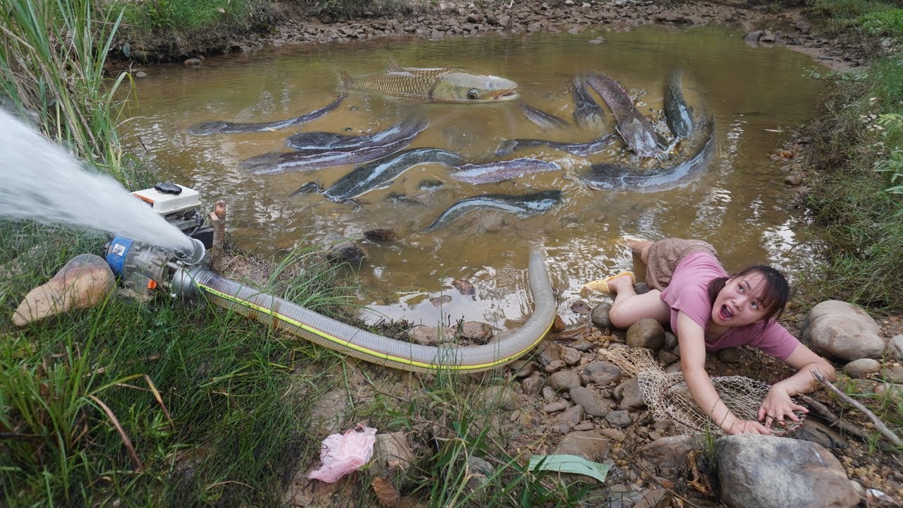 Fishing Technology - Wild Survival Catch Many Fish In Mud Wild Lake by ...