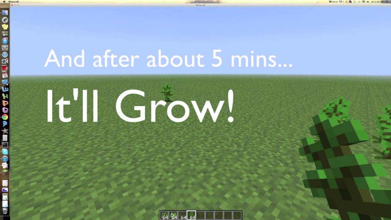 Minecraft How to make/spawn tall jungle trees HD YouTube