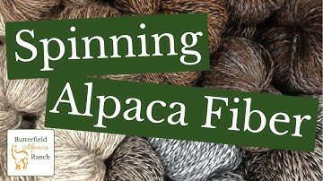 Spinning Alpaca Fiber (Fleece)