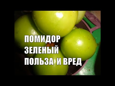 Зеленые помидоры Польза и вред