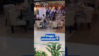 Man has photoshoot with his pooch