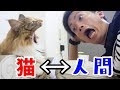 猫にもあくびは移るのか?