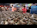 Taiwanese Seafood Tour - Rainbow Crabs Cooked Two Ways | OUTRAGEOUS Street Food in Taiwan