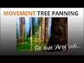 Photography Tips: Tree Panning Movement Blur