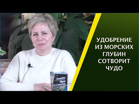 Видео: Как сделать удобрение из морских водорослей - Использование морских водорослей в качестве удобрения для растений