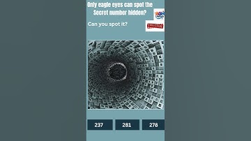 Only 1% Can Find the Hidden Number in This Optical Illusion! 🔍👀