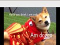 is doge satan?