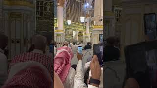 Seni Tanır Uçan Kuşlar