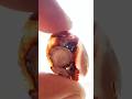 Transforming a Beautiful Agate into an Oval Cabochon! ✨ #Agate #Lapidary #Gemstone #PatternedAgate